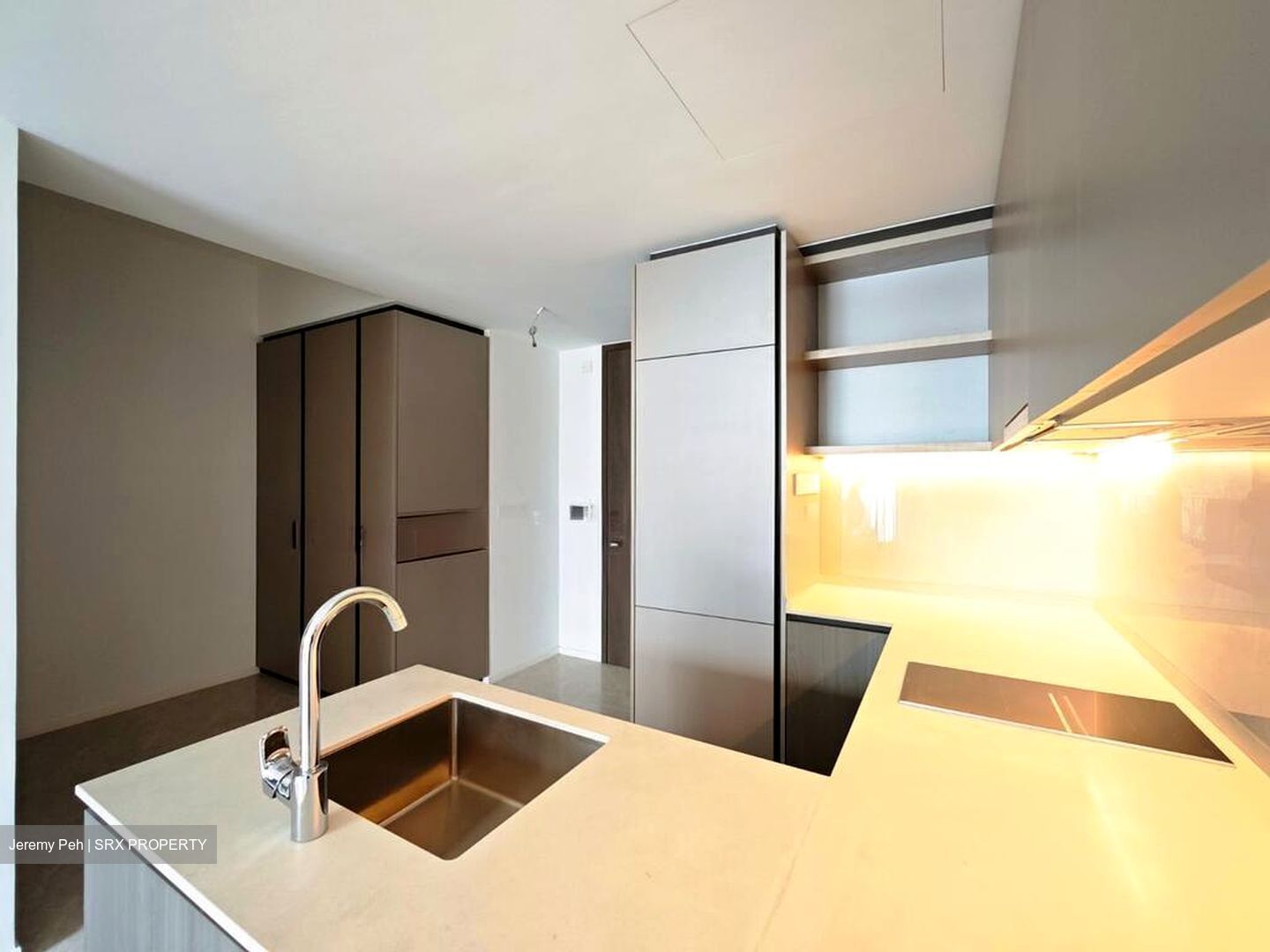 Piccadilly Grand (D8), Apartment #531256191